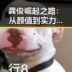 龚俊崛起之路:从颜值到实力的全方位回顾