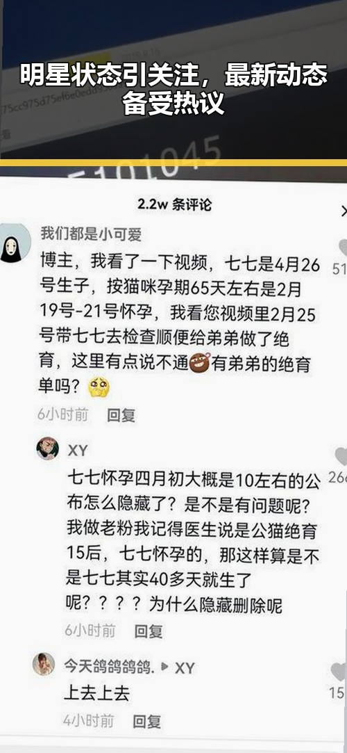 明星状态引关注,最新动态备受热议